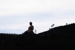 Buddha01