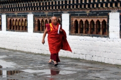 Monk